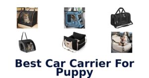 Best Car Carrier For Puppy
