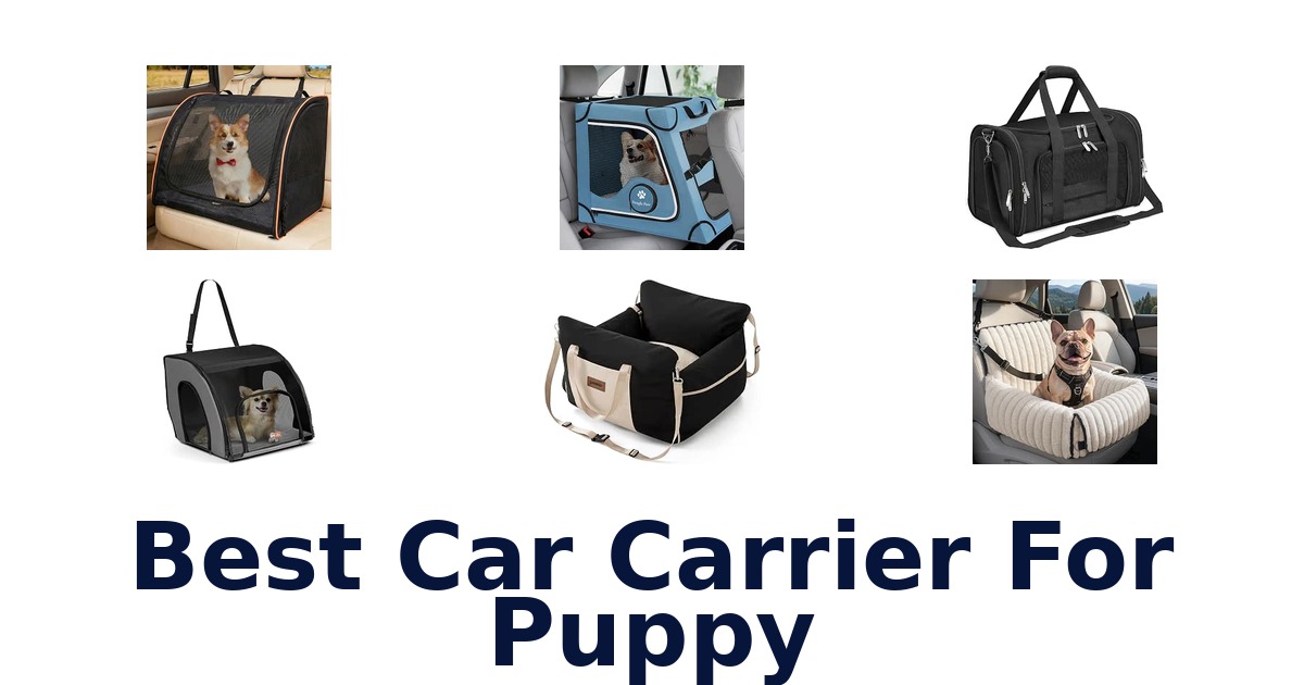 Best Car Carrier For Puppy