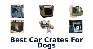 Best Car Crates For Dogs