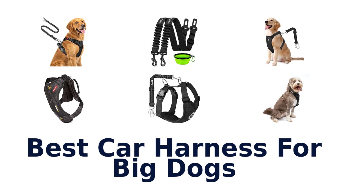 Best Car Harness For Big Dogs