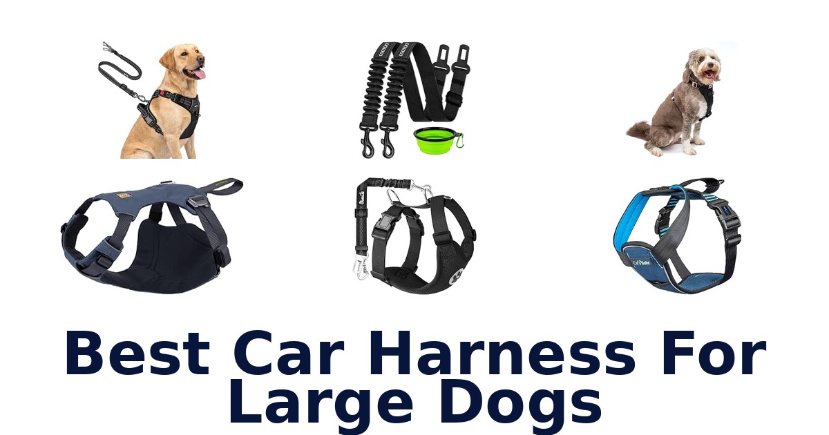 Best Car Harness For Large Dogs