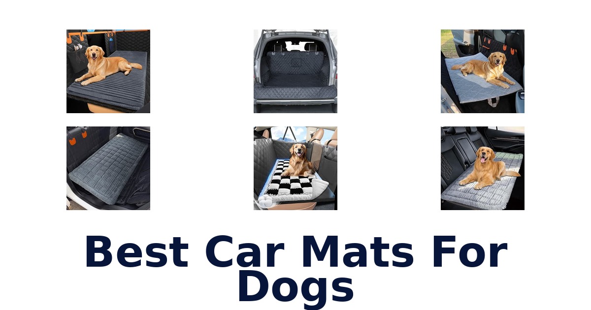 Best Car Mats For Dogs