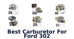 Best Carburetor For Ford 302
