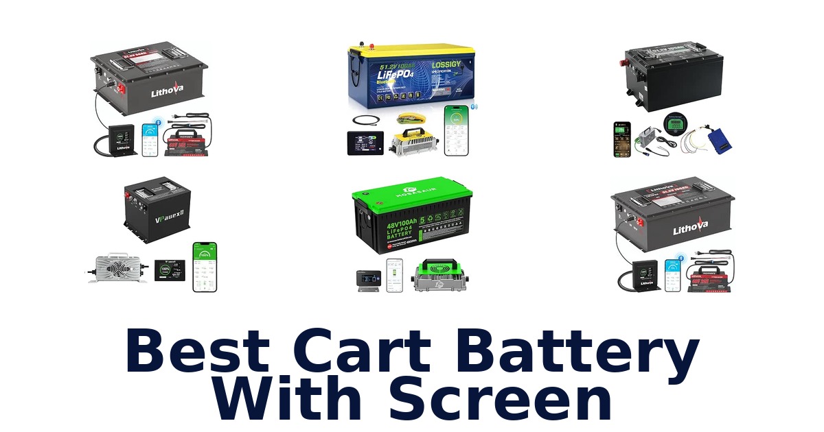 Best Cart Battery With Screen
