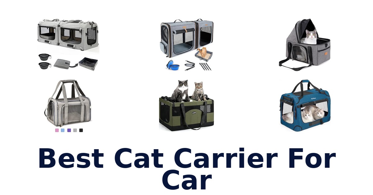 Best Cat Carrier For Car