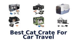Best Cat Crate For Car Travel