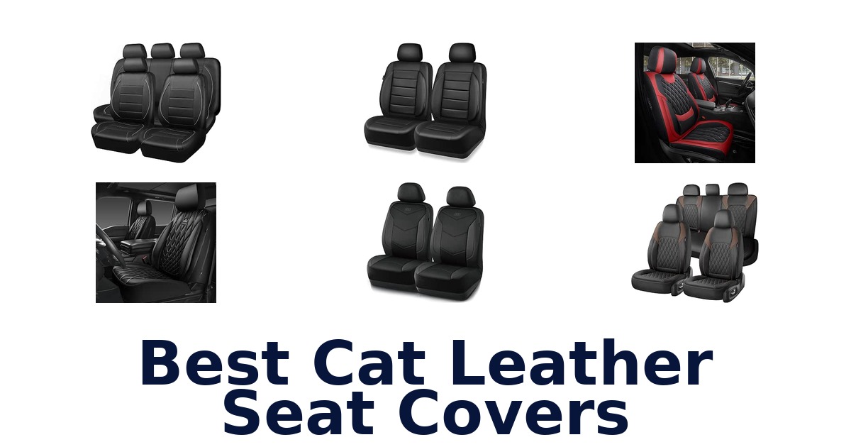 Best Cat Leather Seat Covers
