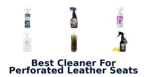 Best Cleaner For Perforated Leather Seats