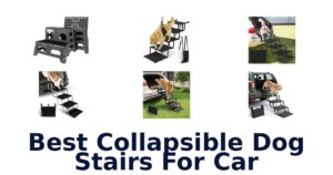 Best Collapsible Dog Stairs For Car