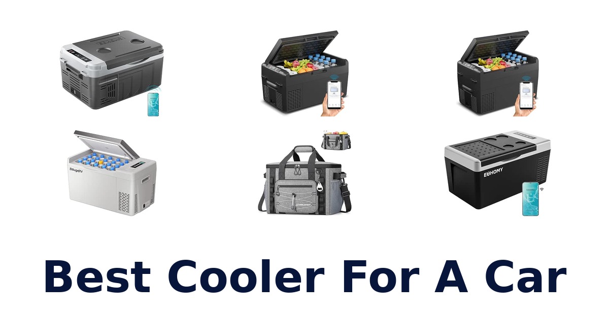 Best Cooler For A Car