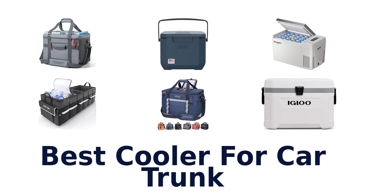 Best Cooler For Car Trunk
