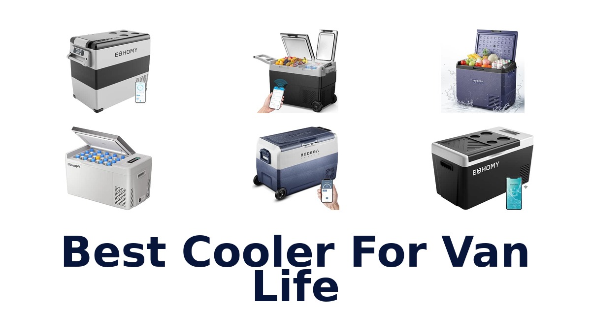 Best Cooler For Van Life