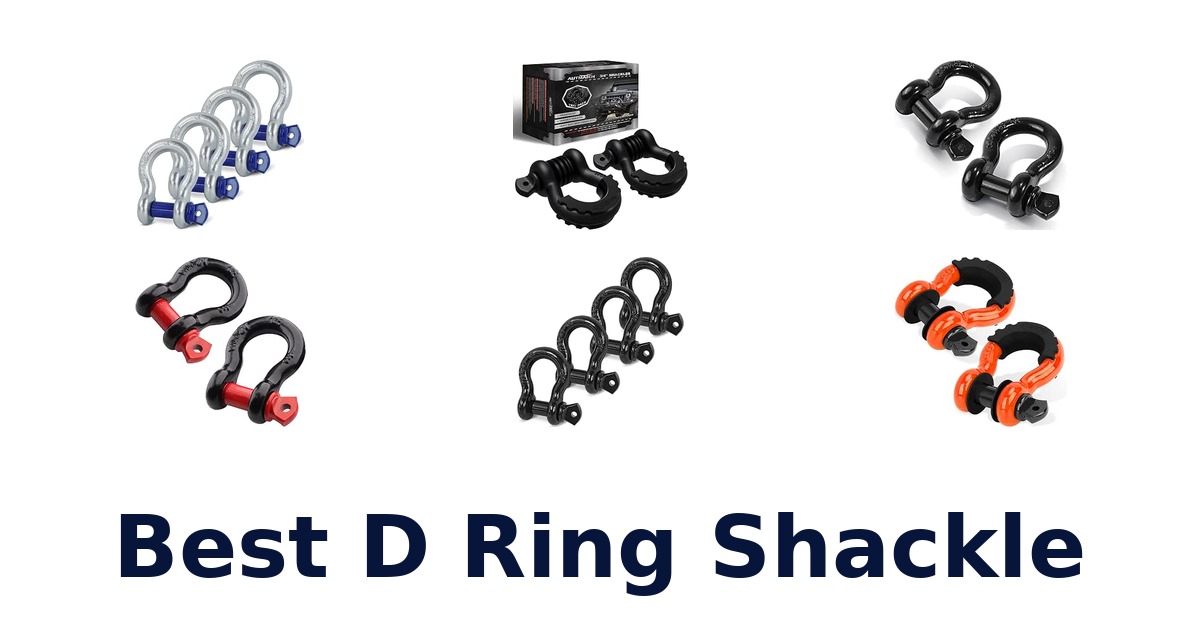 Best D Ring Shackle