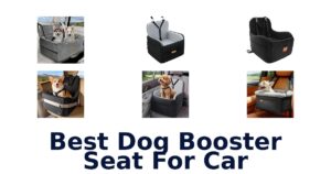 Best Dog Booster Seat For Car