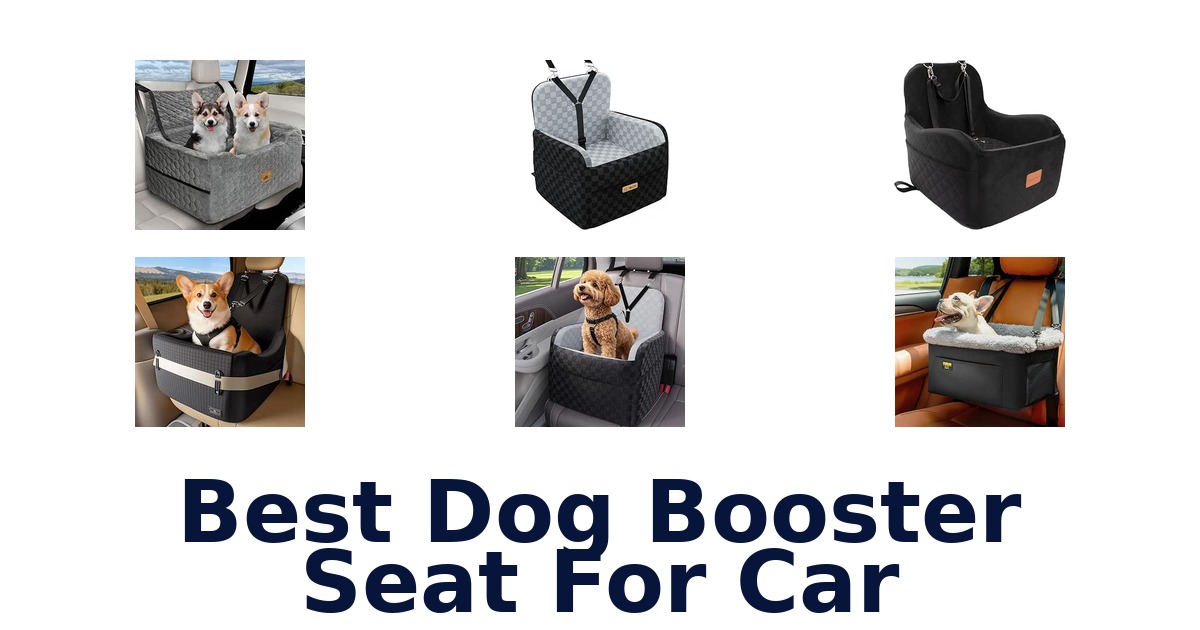 Best Dog Booster Seat For Car