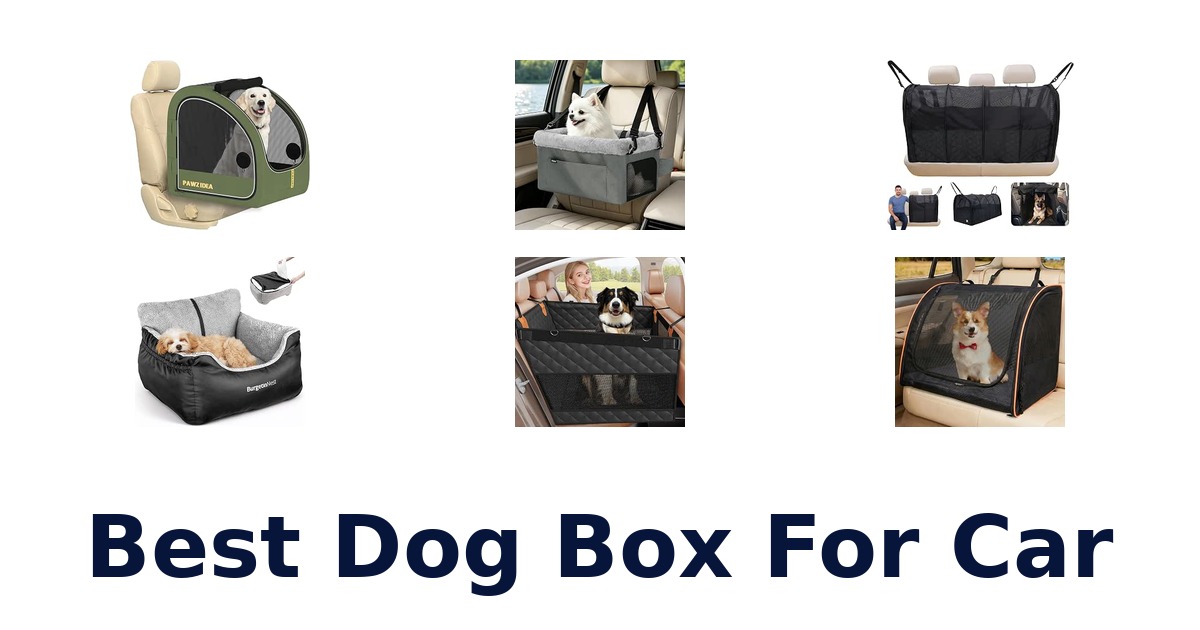 Best Dog Box For Car