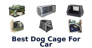 Best Dog Cage For Car