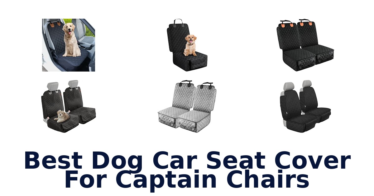 Best Dog Car Seat Cover For Captain Chairs