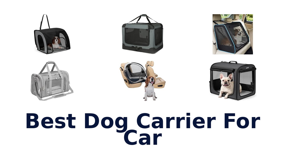 Best Dog Carrier For Car