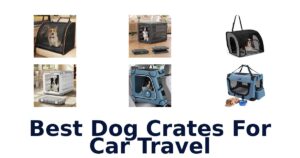 Best Dog Crates For Car Travel