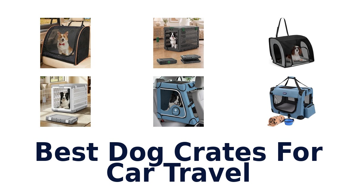 Best Dog Crates For Car Travel