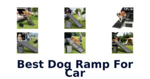 Best Dog Ramp For Car