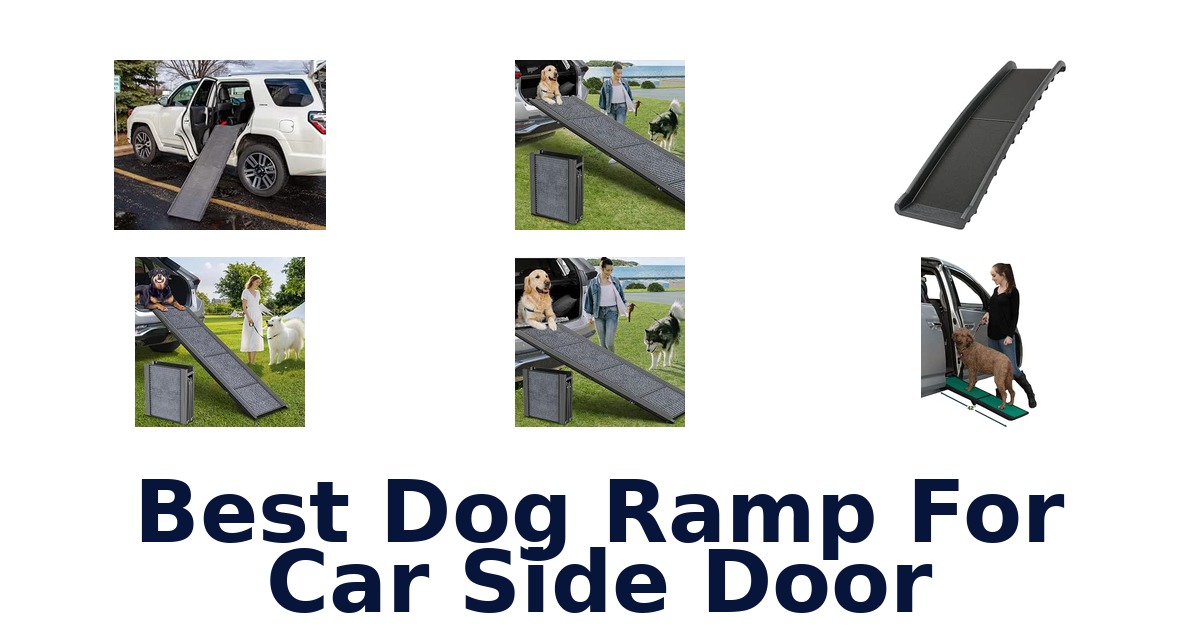 Best Dog Ramp For Car Side Door