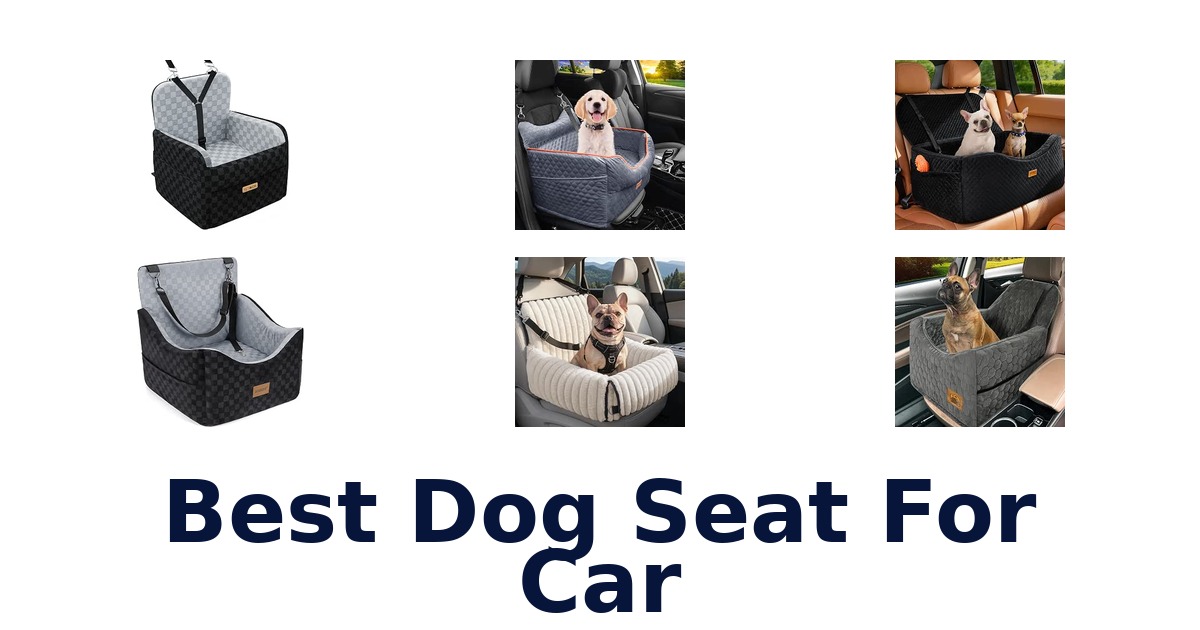 Best Dog Seat For Car