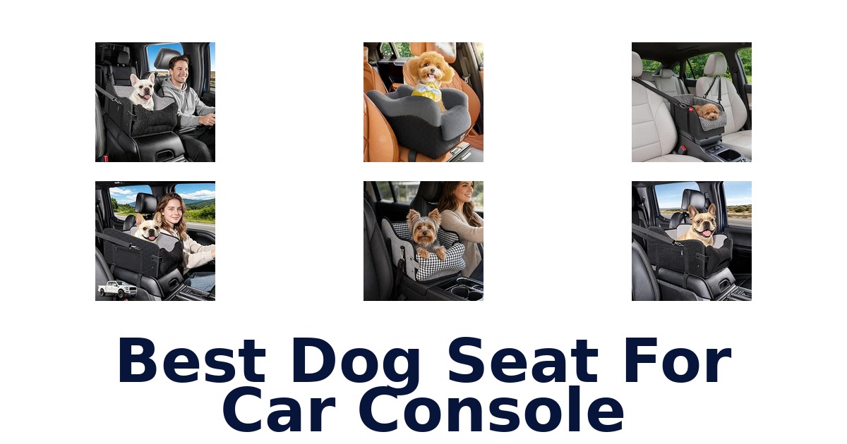 Best Dog Seat For Car Console