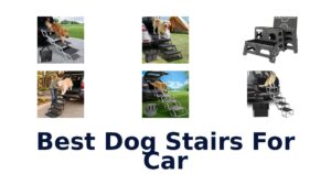 Best Dog Stairs For Car