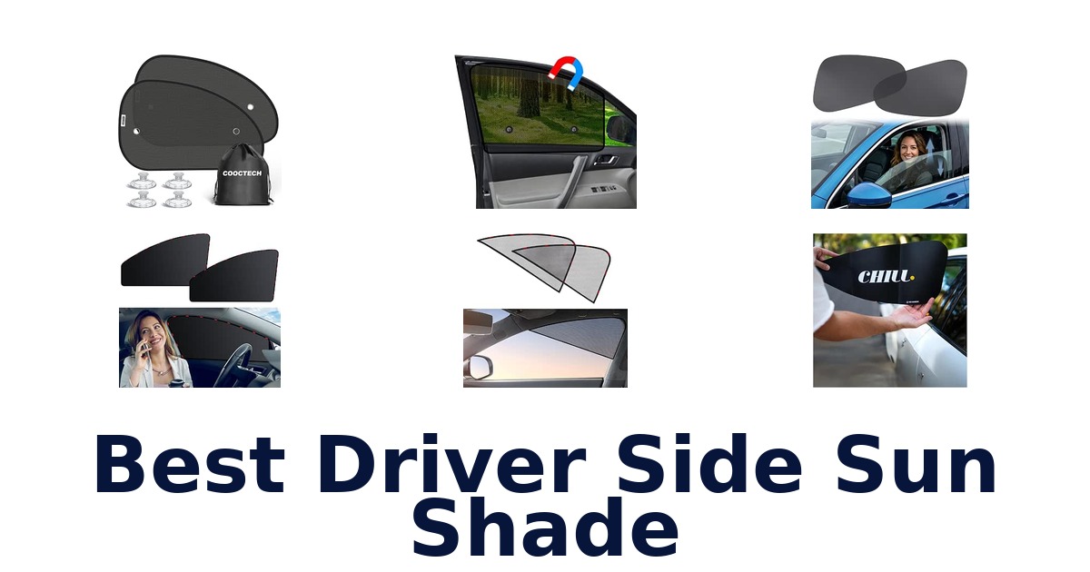 Best Driver Side Sun Shade