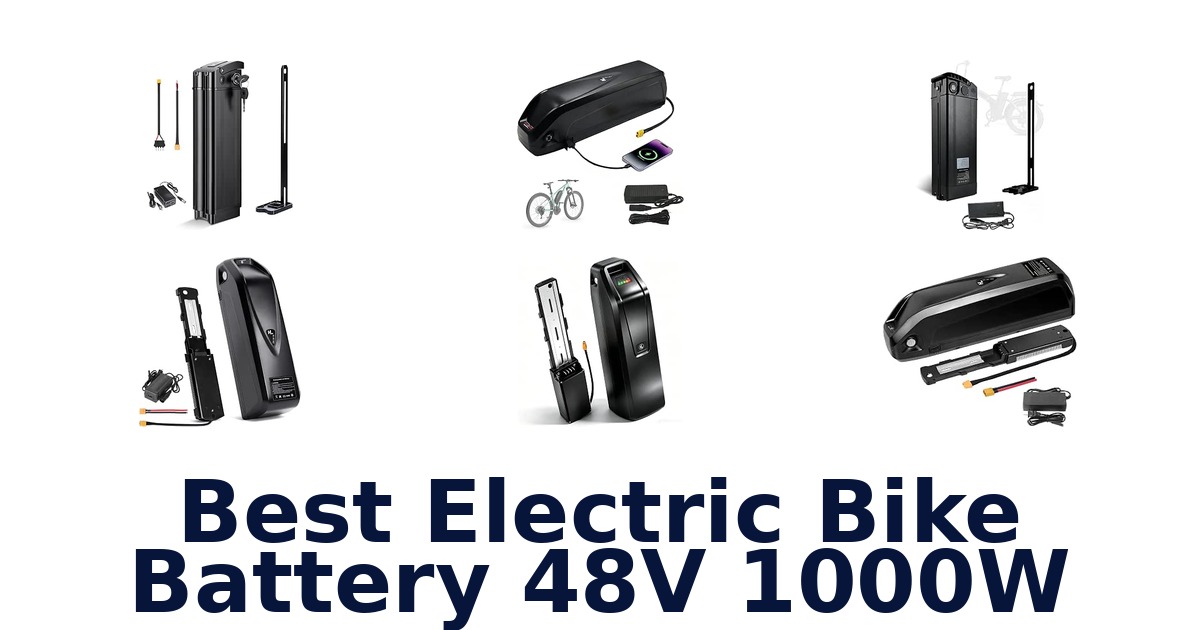 Best Electric Bike Battery 48V 1000W