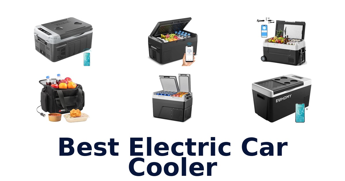 Best Electric Car Cooler