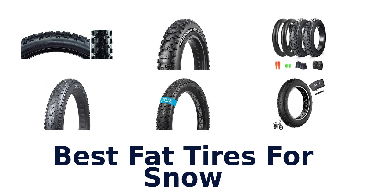 Best Fat Tires For Snow