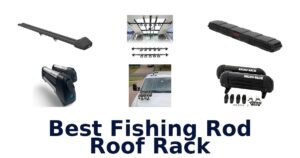 Best Fishing Rod Roof Rack