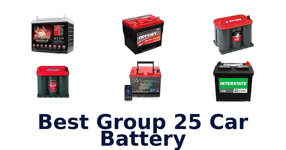 Best Group 25 Car Battery
