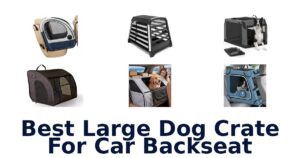 Best Large Dog Crate For Car Backseat