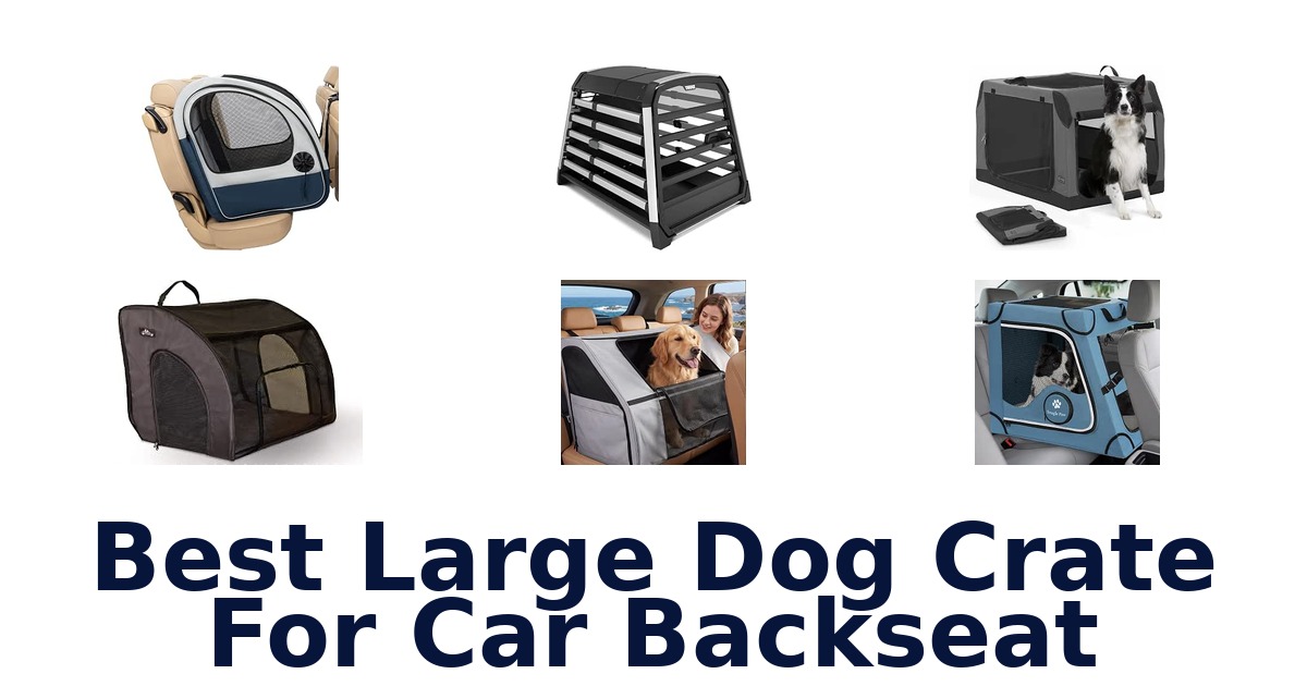 Best Large Dog Crate For Car Backseat