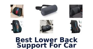 Best Lower Back Support For Car