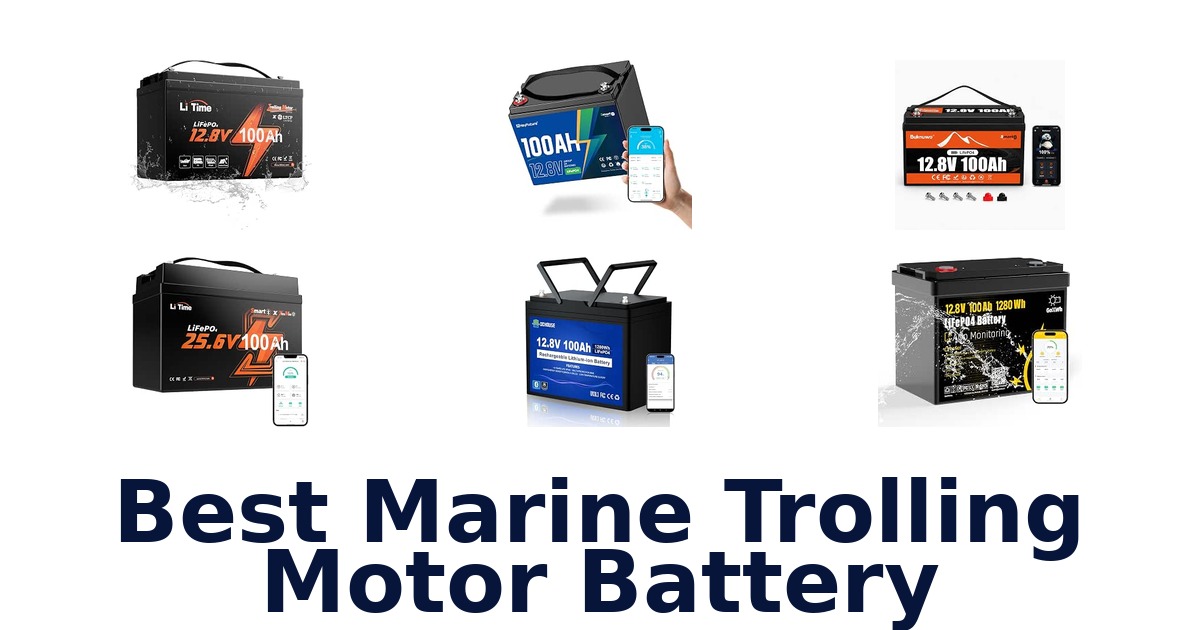 Best Marine Trolling Motor Battery