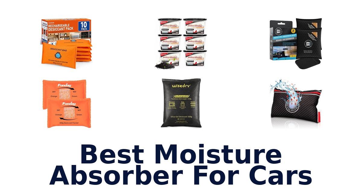 Best Moisture Absorber For Cars