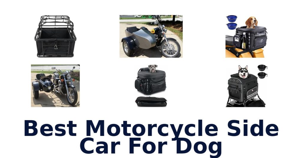 Best Motorcycle Side Car For Dog