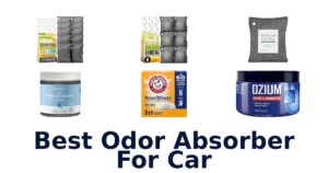 Best Odor Absorber For Car