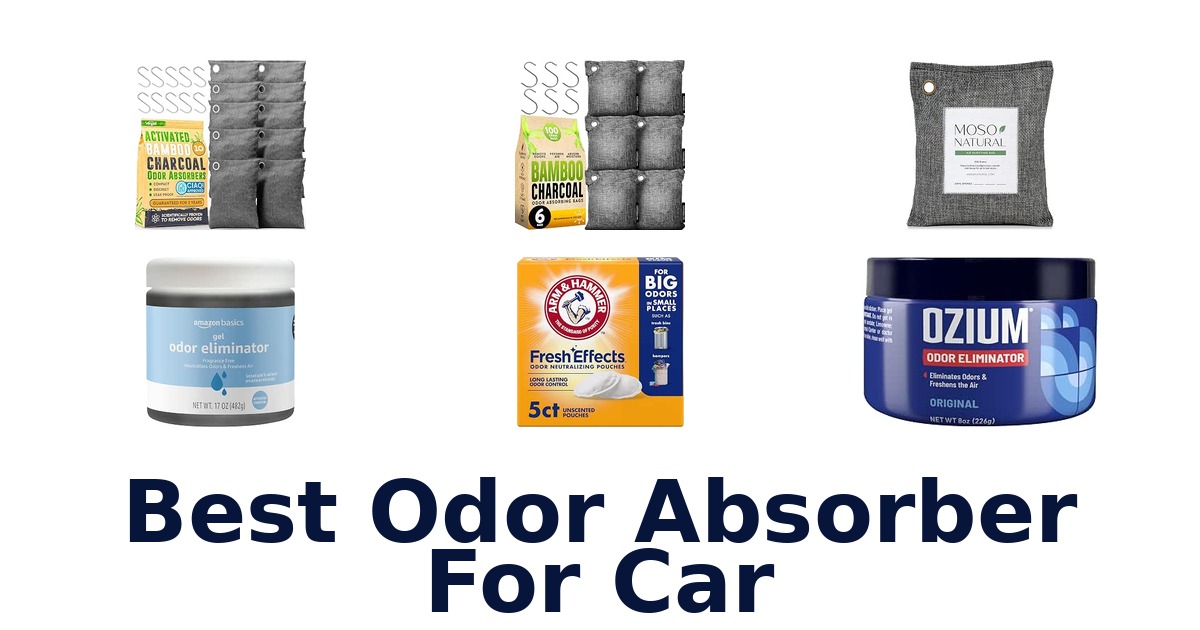 Best Odor Absorber For Car