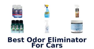 Best Odor Eliminator For Cars