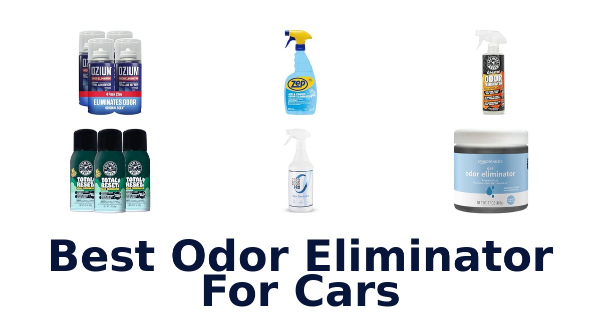 Best Odor Eliminator For Cars