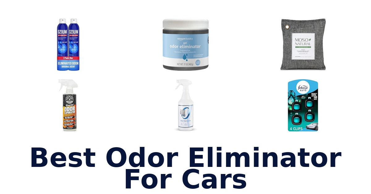 Best Odor Eliminator For Cars