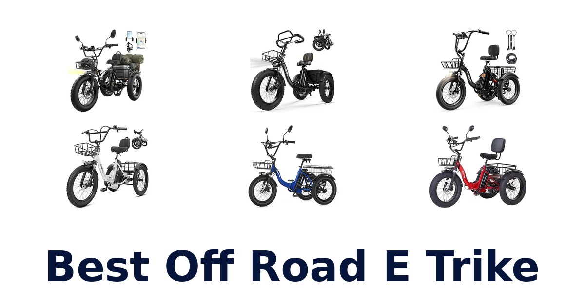 Best Off Road E Trike
