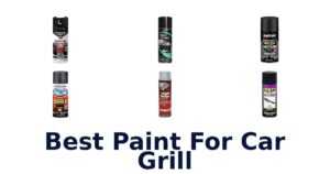 Best Paint For Car Grill