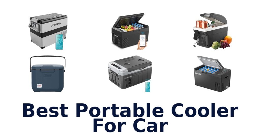 Best Portable Cooler For Car